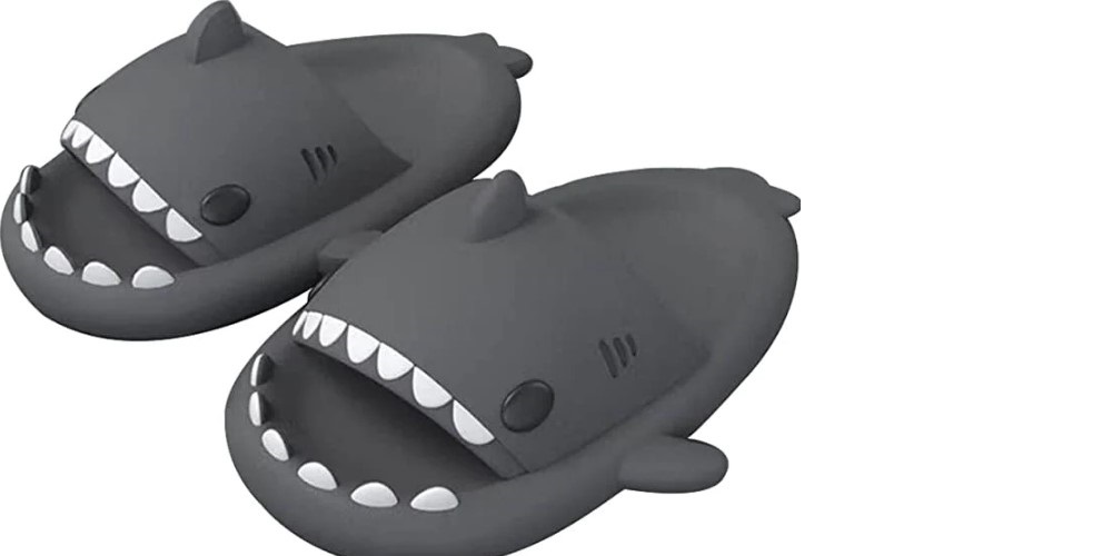 Here Are 5 Reasons Why You Should Buy a Pair of Shark Slides