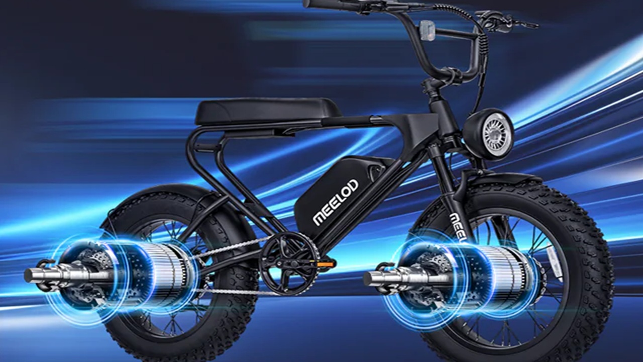 Comparing Two Unique Electric Bikes: MEELOD DK200DM vs TENWAYS CGO600